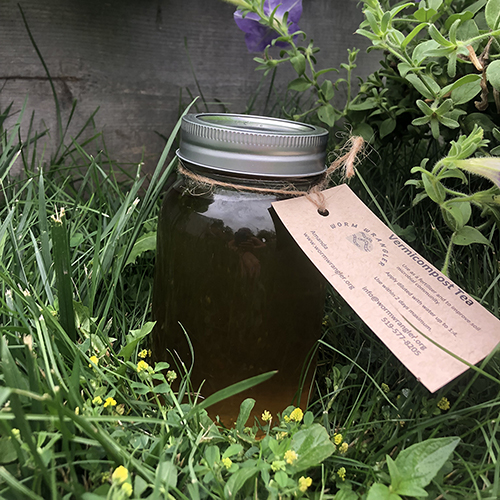a Mason Jar full of vermicompost sitting in the grass