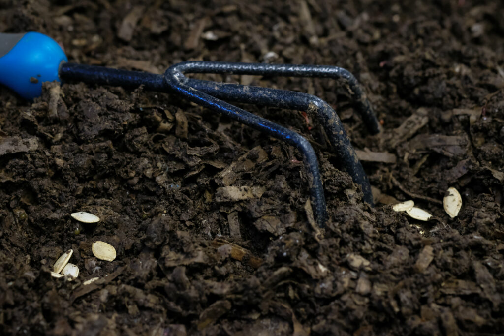 worm castings vermicompost used in starting seeds