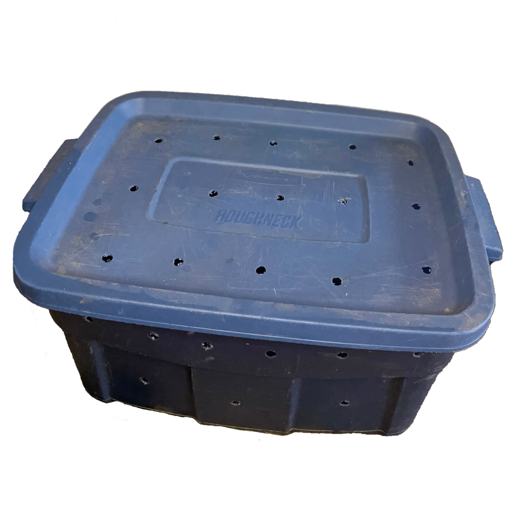Vermicompost bin with lid on