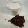2 oz worms