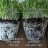 Eco Wool Natural Soil Builder Root Comparison